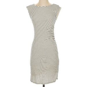 Ann Taylor Loft Striped Black and Cream Dress